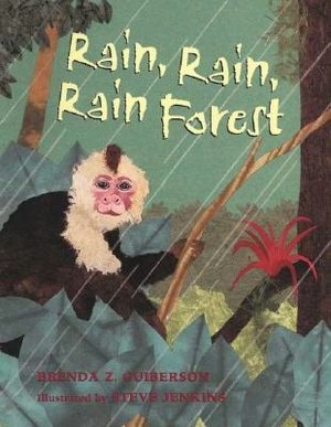 Rain Rain Forest