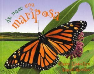 Así nace una mariposa
