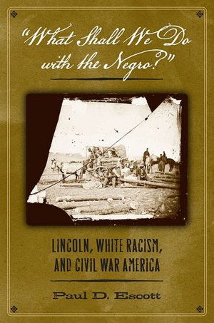 What Shall We Do with the Negro?: Lincoln, White Racism, and Civil War America
