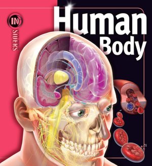Human Body (Insiders Series)