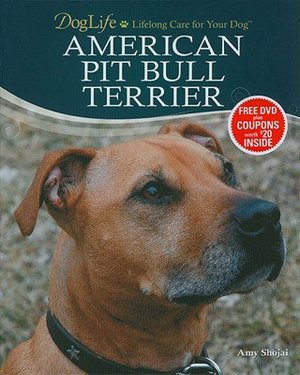 American Pit Bull Terrier