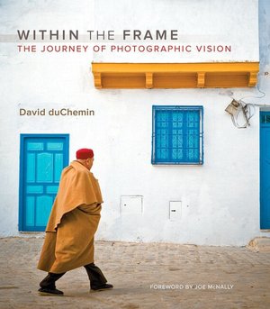 Within the Frame: The Journey of Photographic Vision (Voices That Matter Series)