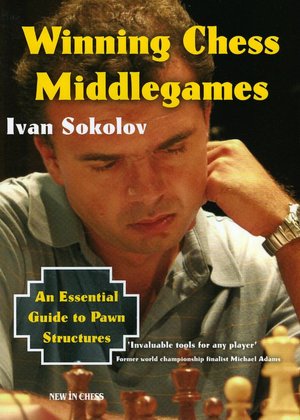 Winning Chess Middlegames