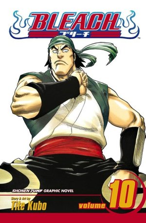 Bleach, Volume 10: Tattoo on the Sky