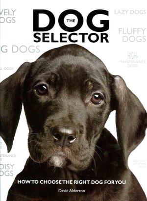 The Dog Selector: How to Choose the Right Dog for You