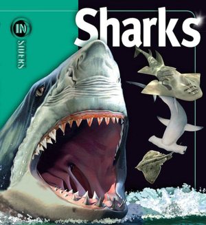 Sharks (Insiders Series)