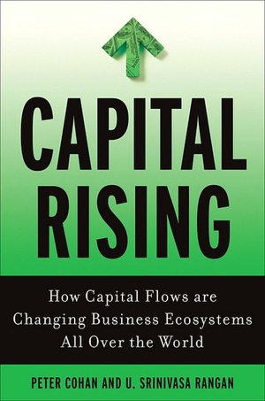 Capital Rising: How Capital Flows Are Changing Business Systems All over the World