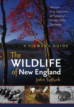 The Wildlife of New England: A Viewer's Guide