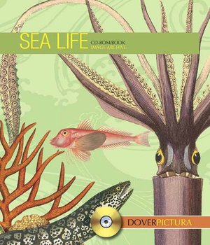 Sea Life