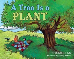 Tree Is a Plant