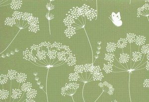 Queen Annes Lace Boxed Cards Set of 14