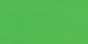 Prism Tempera Fluorescent Poster Paint 8 Ounces-Green by Palmer: Product Image