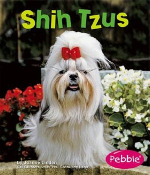 Shih Tzus