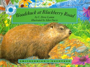 Woodchuck at Blackberry Road (Smithsonian's Backyard Series)