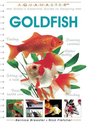 Today's Essential Guide to Keeping Goldfish