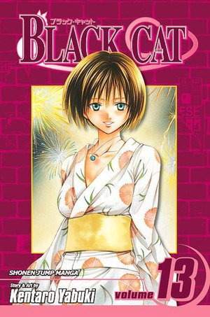 Black Cat, Volume 13