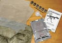Cast and Paint 30" T-rex Diorama by Skullduggery: Product Image