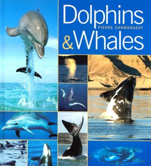 Dolphins and Whales