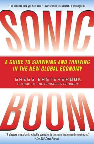 Sonic Boom: A Guide to Surviving and Thriving in the New Global Economy