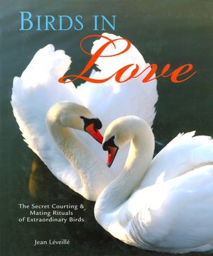 Birds in Love: The Secret Courting & Mating Rituals of Extraordinary Birds