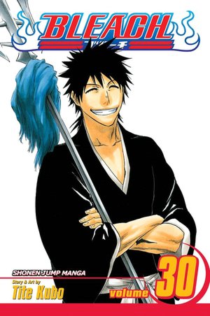 Bleach, Volume 30: There Is No Heart without You