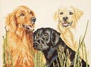 Retrievers Counted Cross Stitch Kit-16"X12" 14 Count by Janlynn: Product Image