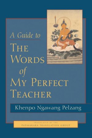 Online textbook free download A Guide to the Words of My Perfect Teacher 9781590300732
