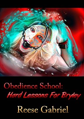 Obedience School: Hard Lessons For Bryley