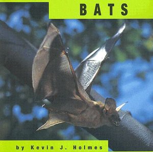 Bats