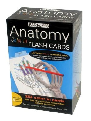 Barron's Anatomy Color-in Flash Cards