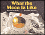 What the Moon Is Like