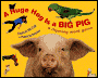 Huge Hog Is a Big Pig: A Rhyming Word Game