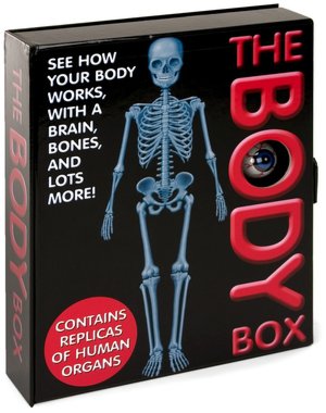 The Body Box: See How Your Body Works, With a Brain, Bones, and Lots More!