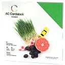 American Crafts Cardstock Pack 12"X12" 60/Pkg-Summer by American Crafts: Product Image