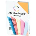 American Crafts Cardstock Pack 4"X6" 60/Pkg-Tropicals by American Crafts: Product Image