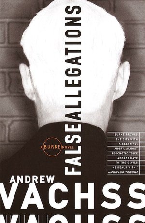 False Allegations (Burke Series #9)