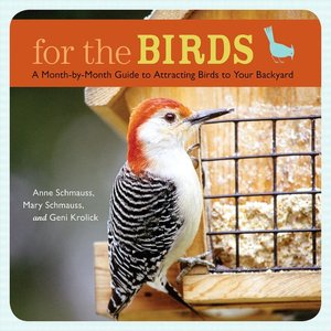 Secrets Backyard Bird Feeding Success Attracting