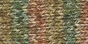 Deborah Norville Collection Serenity Chunky Yarn-Forest