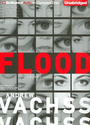Flood (Burke Series #1)