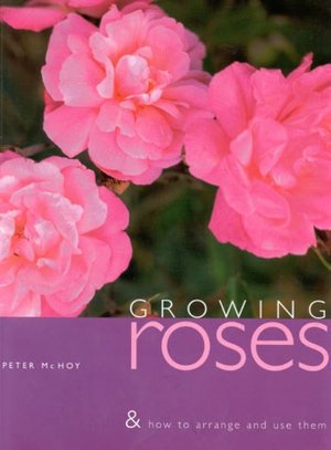 Growing Roses and How to Arrange and Use Them