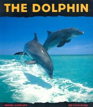 The Dolphin