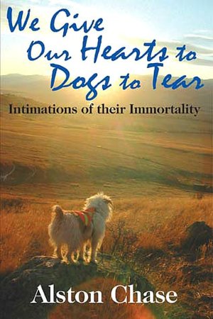 We Give Our Hearts to Dogs to Tear: Intimations of their Immortality