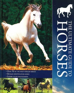 The Ultimate Guide to Horses