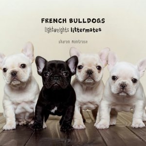 French Bulldogs:Lightweights Littermates