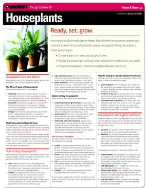 Houseplants (Quamut)