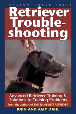Retriever Troubleshooting: Strategies and Solutions to Retriever Training Problems