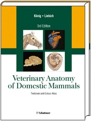 Domestic Mammals