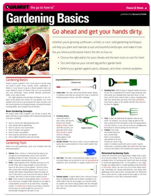 Gardening Basics (Quamut)