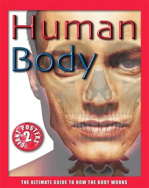Human Body: The Ultimate Guide to How the Body Works