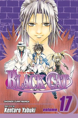Black Cat, Volume 17